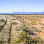 Land Desertification – What is it and what causes it?