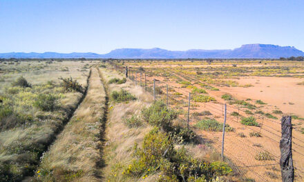 Land Desertification – What is it and what causes it?
