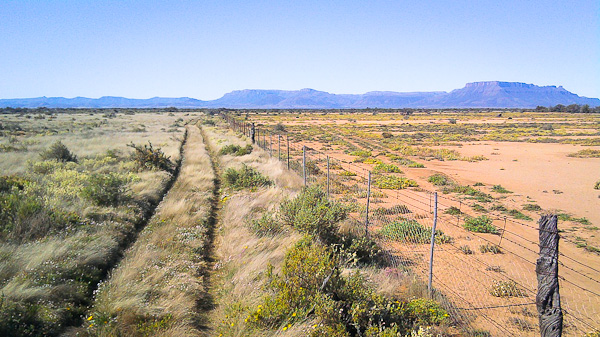 Land Desertification – What is it and what causes it?