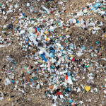 Ocean Microplastics – What are they? and how do they harm our oceans?