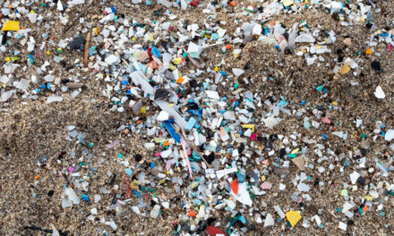 Ocean Microplastics – What are they? and how do they harm our oceans?